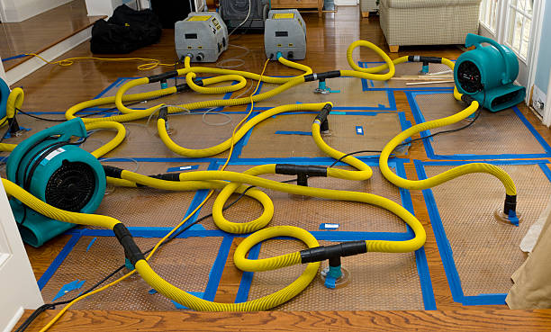 Professional Basement Flood Cleanup technician working in Rushmore, MN